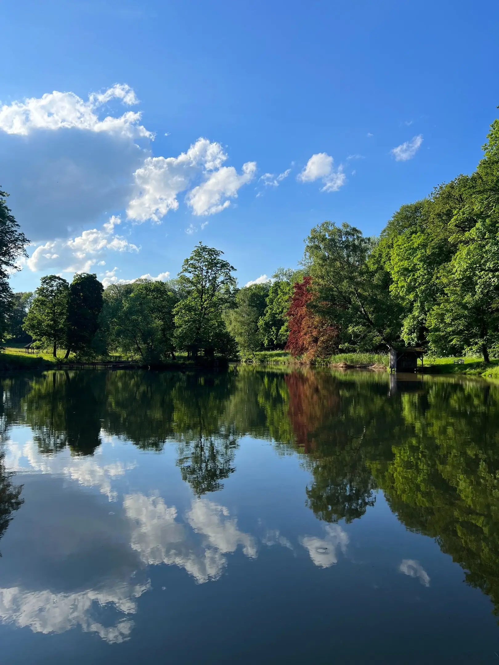 Der Schlosssee spiegelt Bäume und Wolken