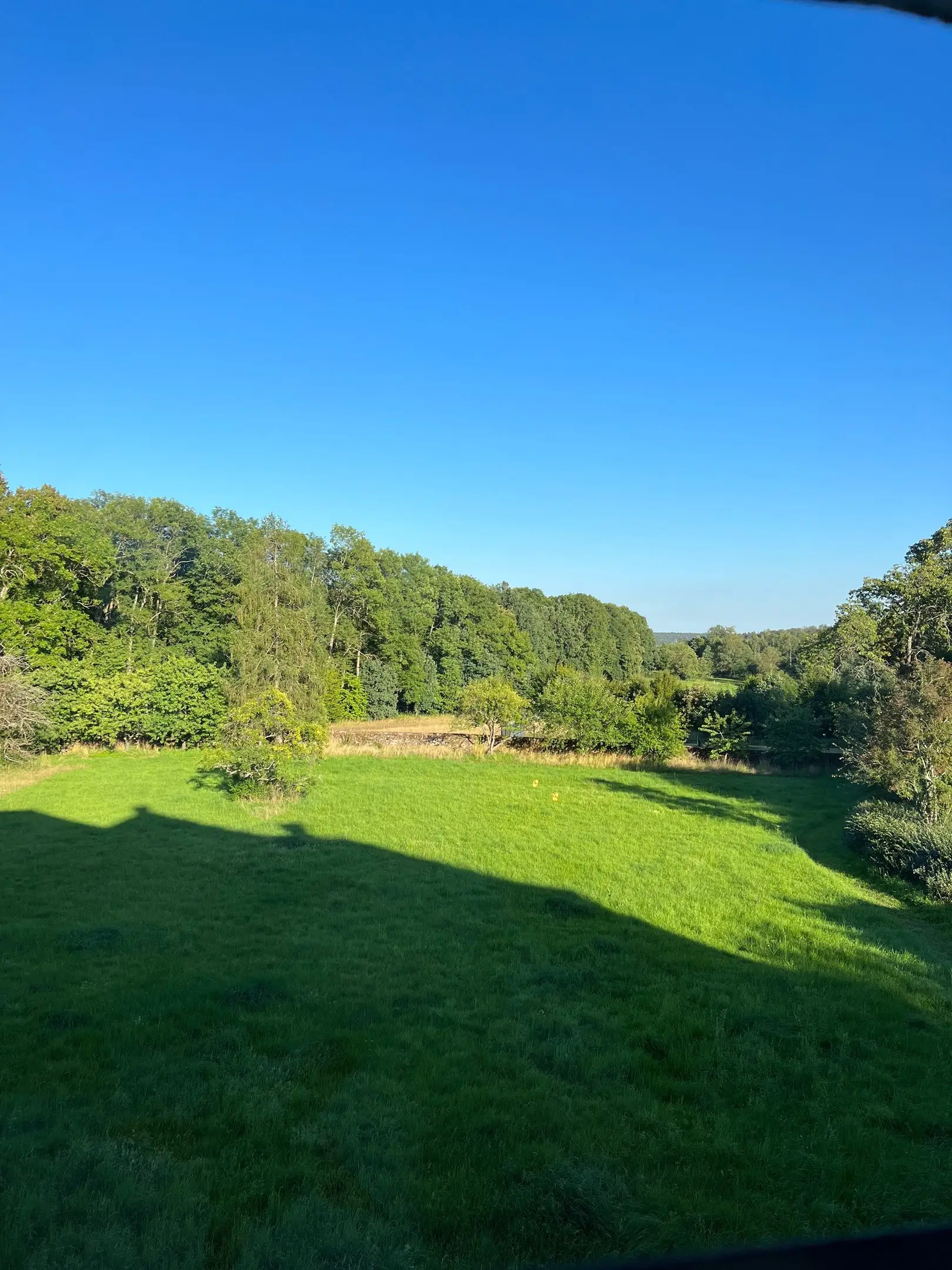 Sonnige Wiese im Schlosspark vor bewaldeten Hügeln